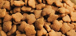 dog food